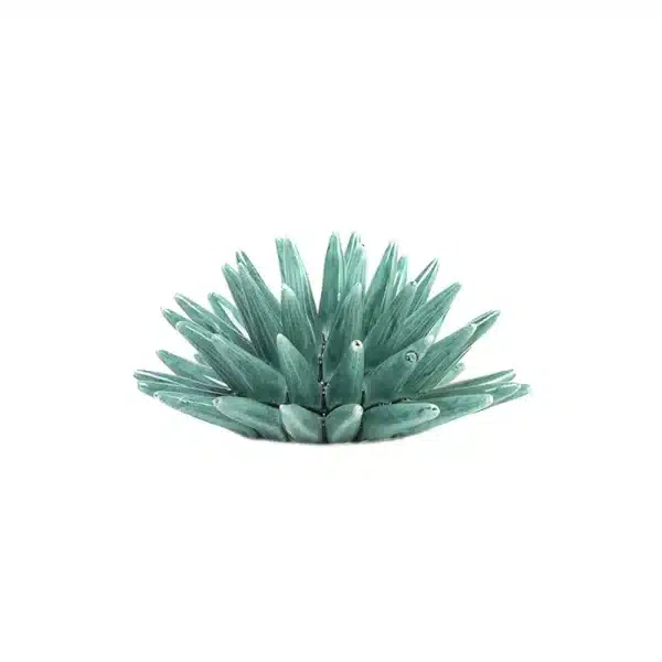 Riccio Verde Siciliano M in Ceramica di Caltagirone