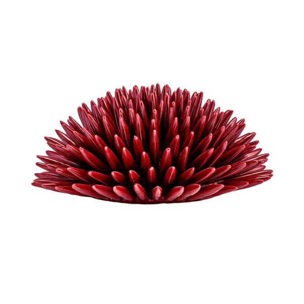 Riccio Rosso Borgogna L in Ceramica