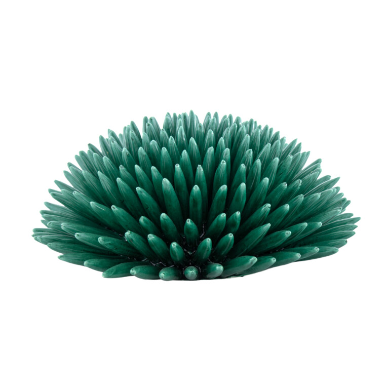 Riccio Verde Siciliano L in Ceramica